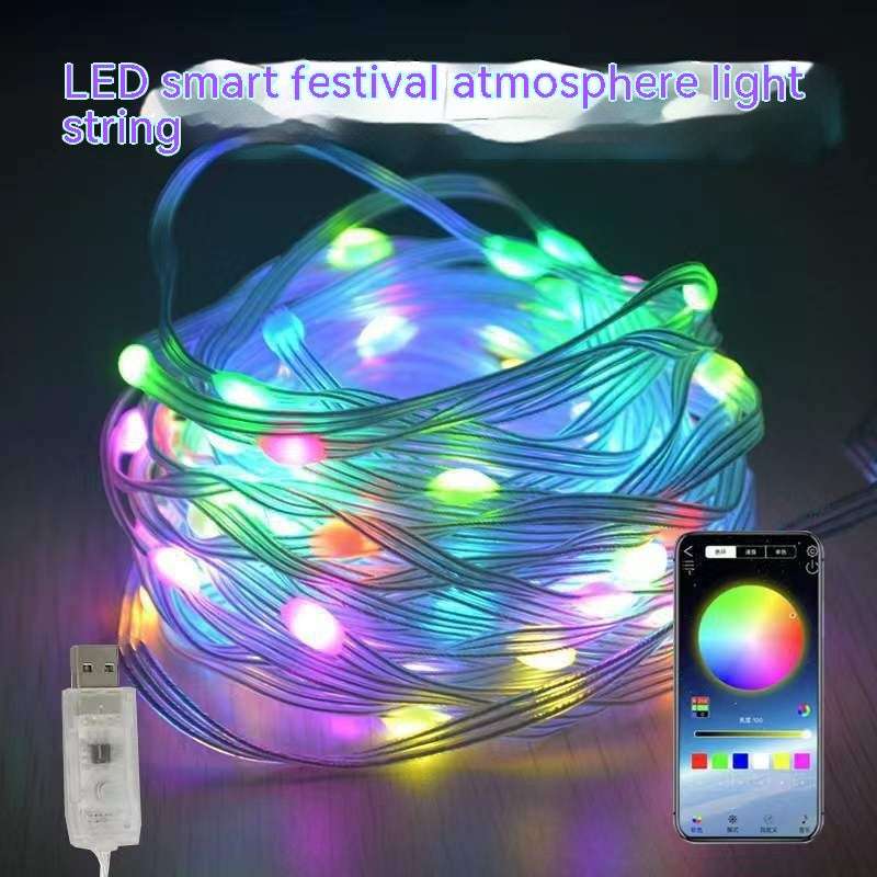 Smart Voice-Controlled USB LED Light String Lighting Gifting by Julia M RGB 10M 100Lamp USB