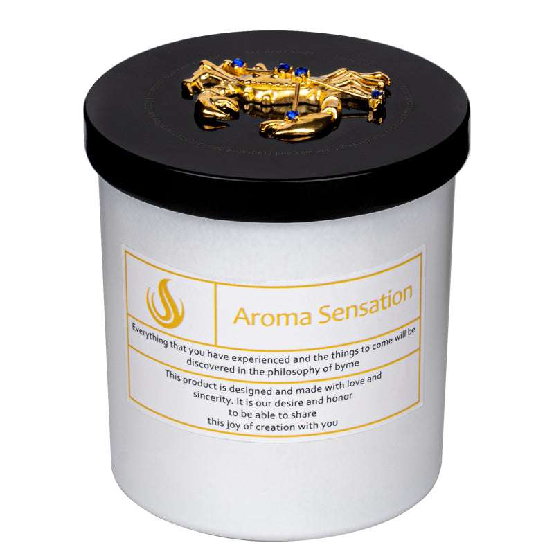 Zodiac Custom Scented Soy Wax Candle candles Gifting By Julia M