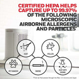Honeywell AllergenPlus HEPA Air Purifier, Airborne Allergen Reducer for Large Rooms (310 sq ft) - Gifting By Julia M