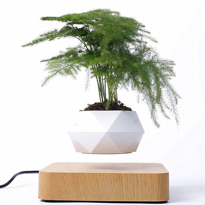 Levitating Bonsai Plant Stand 🪴🎁 - Gifting By Julia M